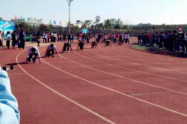 图片2.jpg 图片2.jpg