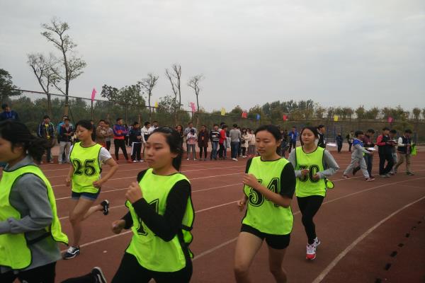 IMG_20151028_144259_1.jpg IMG_20151028_144259_1.jpg